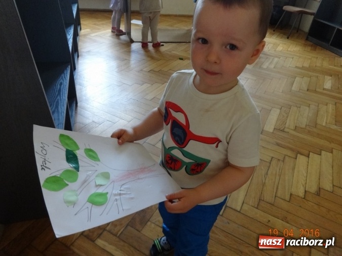 Zdjęcie w galerii na portalu naszraciborz.pl: Raciborskie Fikusie już po inauguracji sezonu wiadomości z regionu