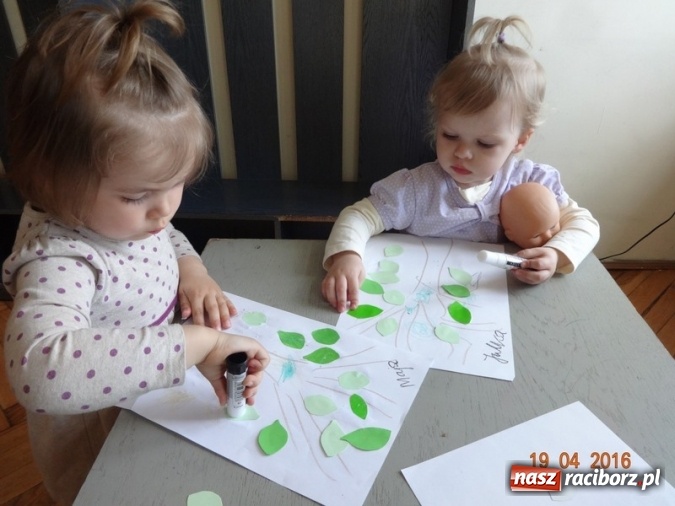 Zdjęcie w galerii na portalu naszraciborz.pl: Raciborskie Fikusie już po inauguracji sezonu wiadomości z regionu