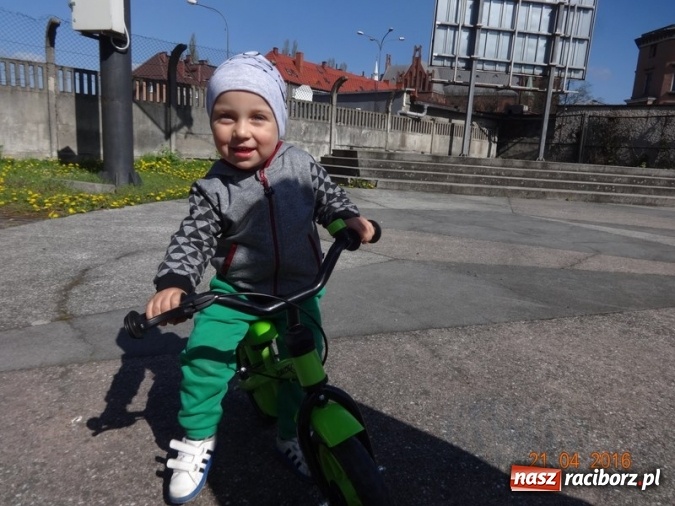 Zdjęcie w galerii na portalu naszraciborz.pl: Raciborskie Fikusie już po inauguracji sezonu wiadomości z regionu