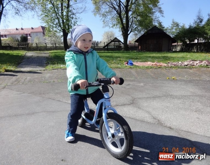 Zdjęcie w galerii na portalu naszraciborz.pl: Raciborskie Fikusie już po inauguracji sezonu wiadomości z regionu