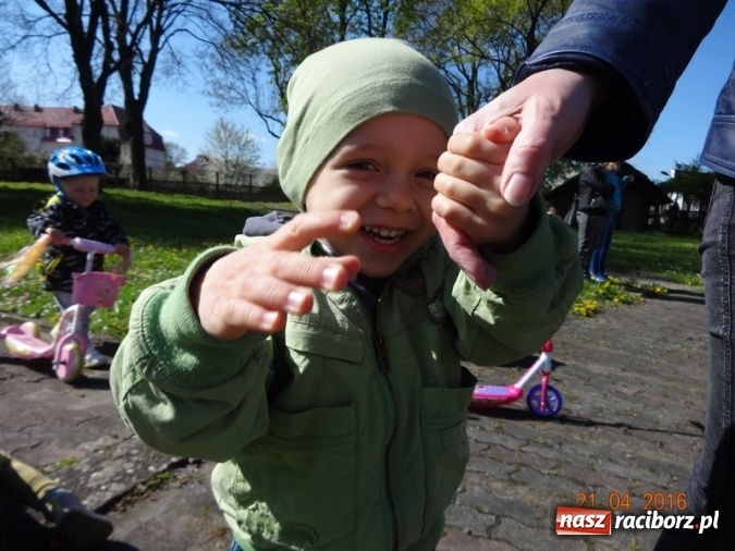 Zdjęcie w galerii na portalu naszraciborz.pl: Raciborskie Fikusie już po inauguracji sezonu wiadomości z regionu