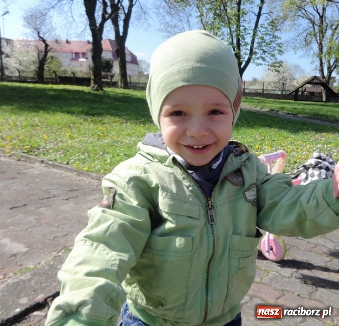 Zdjęcie w galerii na portalu naszraciborz.pl: Raciborskie Fikusie już po inauguracji sezonu wiadomości z regionu