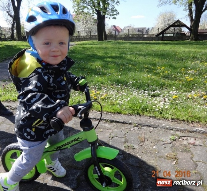 Zdjęcie w galerii na portalu naszraciborz.pl: Raciborskie Fikusie już po inauguracji sezonu wiadomości z regionu