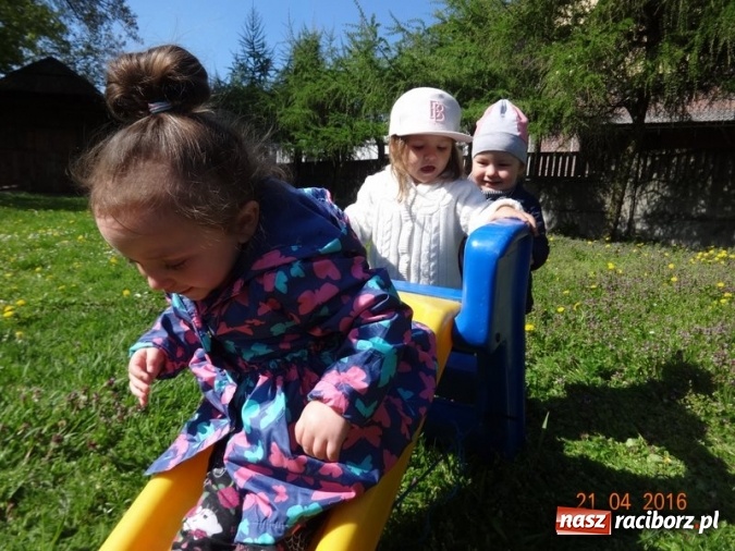 Zdjęcie w galerii na portalu naszraciborz.pl: Raciborskie Fikusie już po inauguracji sezonu wiadomości z regionu