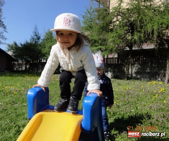 Zdjęcie w galerii na portalu naszraciborz.pl: Raciborskie Fikusie już po inauguracji sezonu wiadomości z regionu
