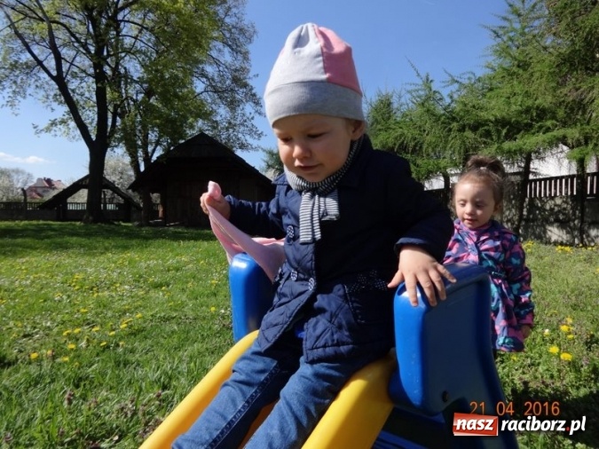 Zdjęcie w galerii na portalu naszraciborz.pl: Raciborskie Fikusie już po inauguracji sezonu wiadomości z regionu