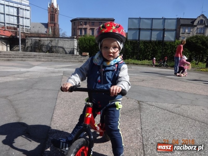 Zdjęcie w galerii na portalu naszraciborz.pl: Raciborskie Fikusie już po inauguracji sezonu wiadomości z regionu