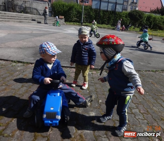 Zdjęcie w galerii na portalu naszraciborz.pl: Raciborskie Fikusie już po inauguracji sezonu wiadomości z regionu