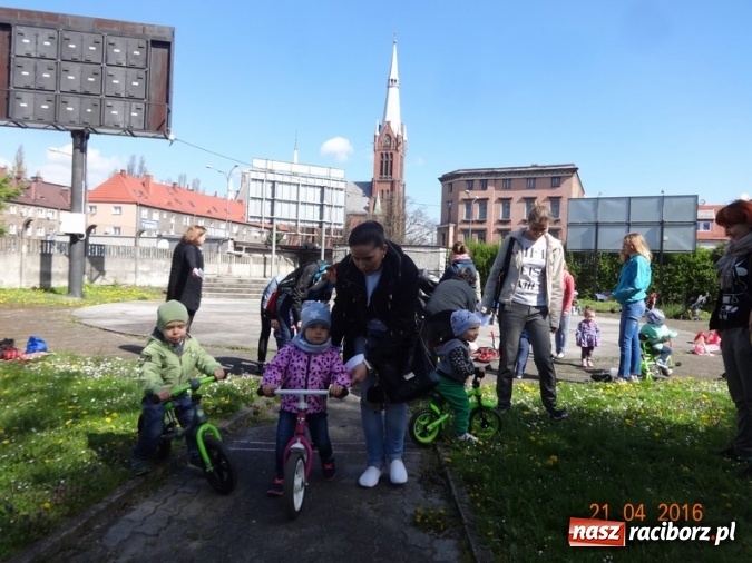 Zdjęcie w galerii na portalu naszraciborz.pl: Raciborskie Fikusie już po inauguracji sezonu wiadomości z regionu