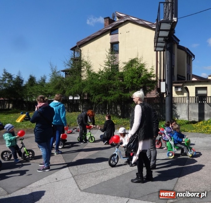 Zdjęcie w galerii na portalu naszraciborz.pl: Raciborskie Fikusie już po inauguracji sezonu wiadomości z regionu