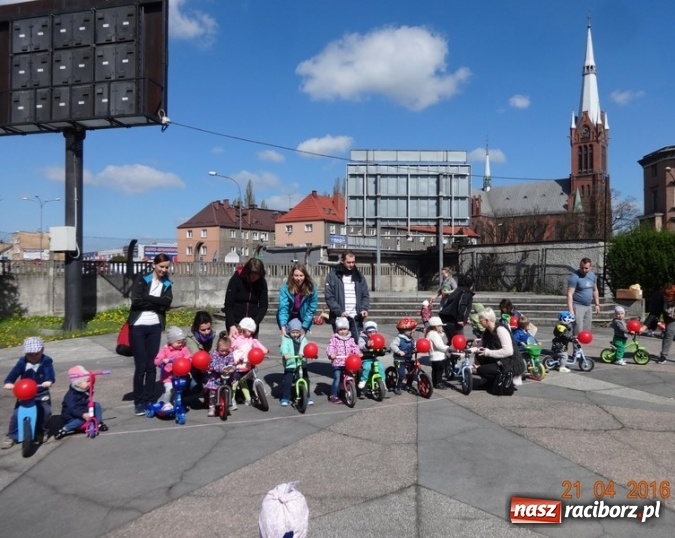 Zdjęcie w galerii na portalu naszraciborz.pl: Raciborskie Fikusie już po inauguracji sezonu wiadomości z regionu