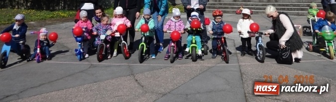 Zdjęcie w galerii na portalu naszraciborz.pl: Raciborskie Fikusie już po inauguracji sezonu wiadomości z regionu