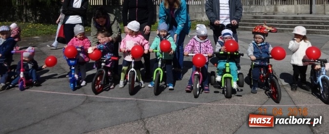 Zdjęcie w galerii na portalu naszraciborz.pl: Raciborskie Fikusie już po inauguracji sezonu wiadomości z regionu