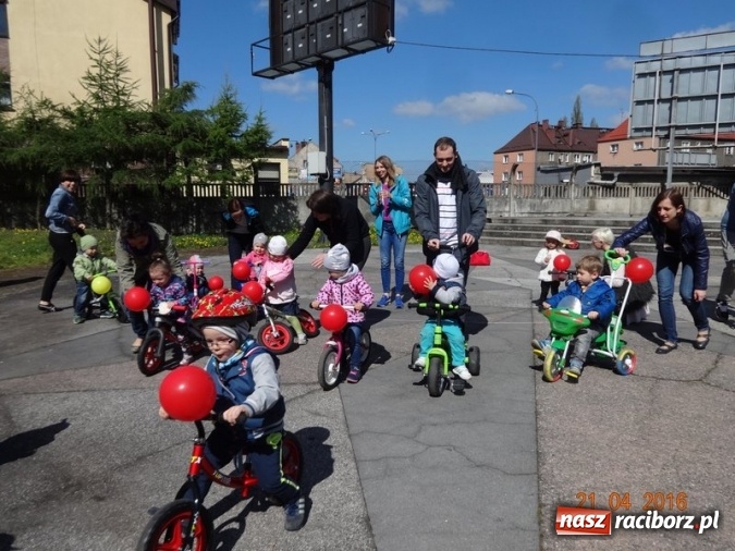 Zdjęcie w galerii na portalu naszraciborz.pl: Raciborskie Fikusie już po inauguracji sezonu wiadomości z regionu