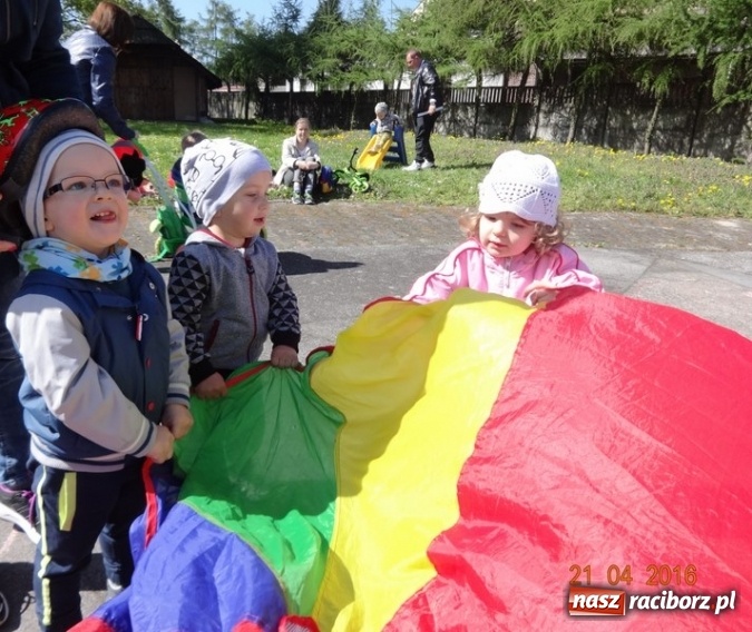 Zdjęcie w galerii na portalu naszraciborz.pl: Raciborskie Fikusie już po inauguracji sezonu wiadomości z regionu