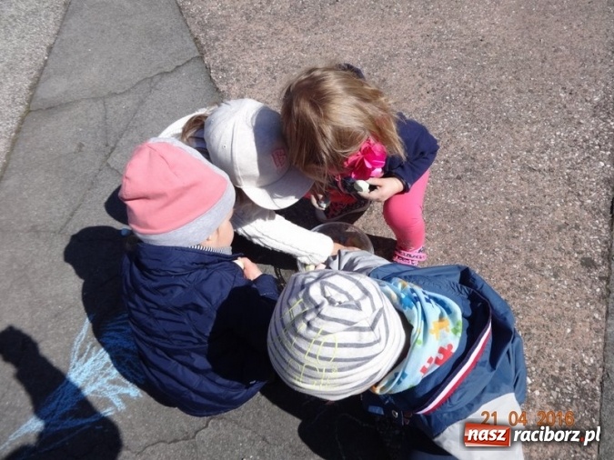 Zdjęcie w galerii na portalu naszraciborz.pl: Raciborskie Fikusie już po inauguracji sezonu wiadomości z regionu