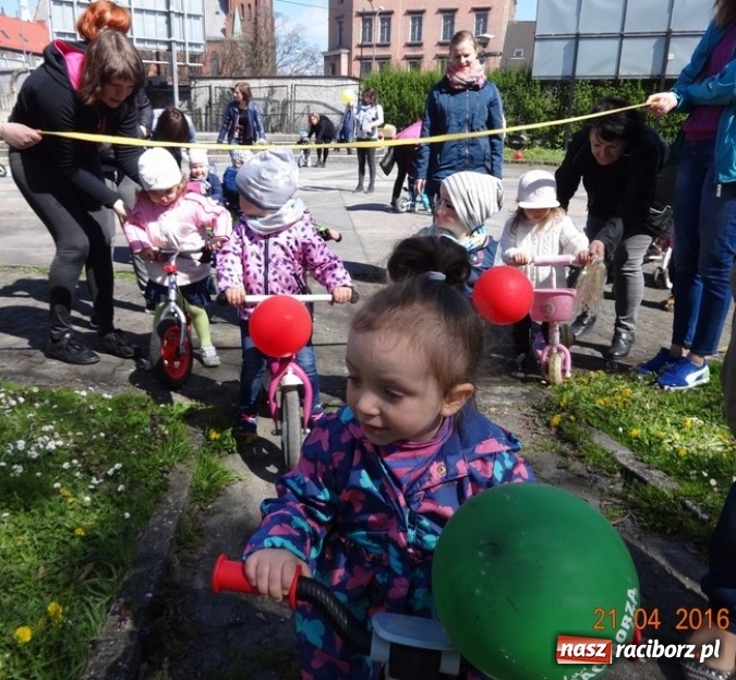 Zdjęcie w galerii na portalu naszraciborz.pl: Raciborskie Fikusie już po inauguracji sezonu wiadomości z regionu