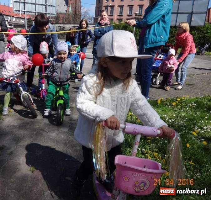 Zdjęcie w galerii na portalu naszraciborz.pl: Raciborskie Fikusie już po inauguracji sezonu wiadomości z regionu