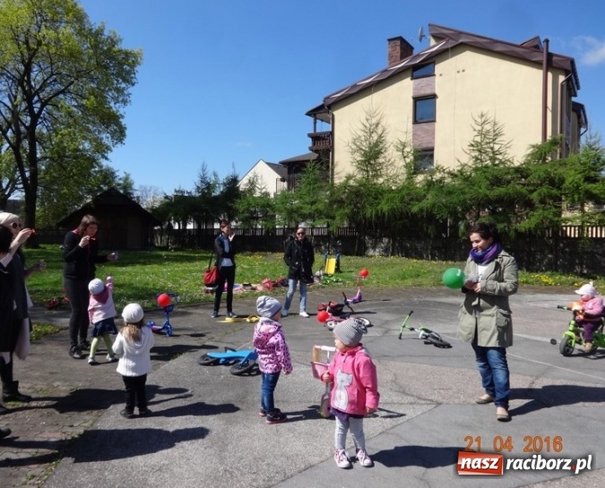 Zdjęcie w galerii na portalu naszraciborz.pl: Raciborskie Fikusie już po inauguracji sezonu wiadomości z regionu