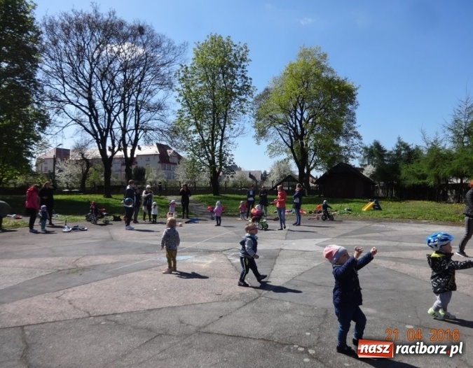 Zdjęcie w galerii na portalu naszraciborz.pl: Raciborskie Fikusie już po inauguracji sezonu wiadomości z regionu