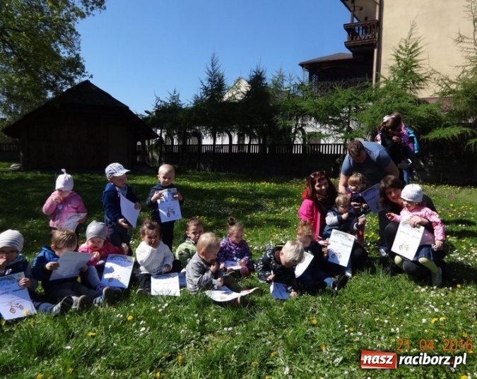 Zdjęcie w galerii na portalu naszraciborz.pl: Raciborskie Fikusie już po inauguracji sezonu wiadomości z regionu