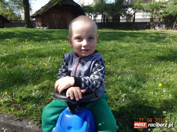 Zdjęcie w galerii na portalu naszraciborz.pl: Raciborskie Fikusie już po inauguracji sezonu wiadomości z regionu