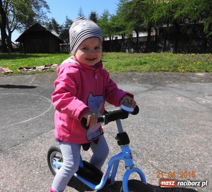 Zdjęcie w galerii na portalu naszraciborz.pl: Raciborskie Fikusie już po inauguracji sezonu wiadomości z regionu