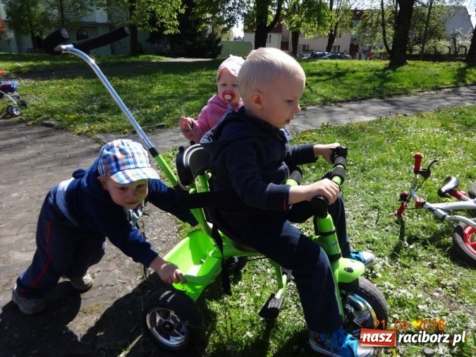 Zdjęcie w galerii na portalu naszraciborz.pl: Raciborskie Fikusie już po inauguracji sezonu wiadomości z regionu