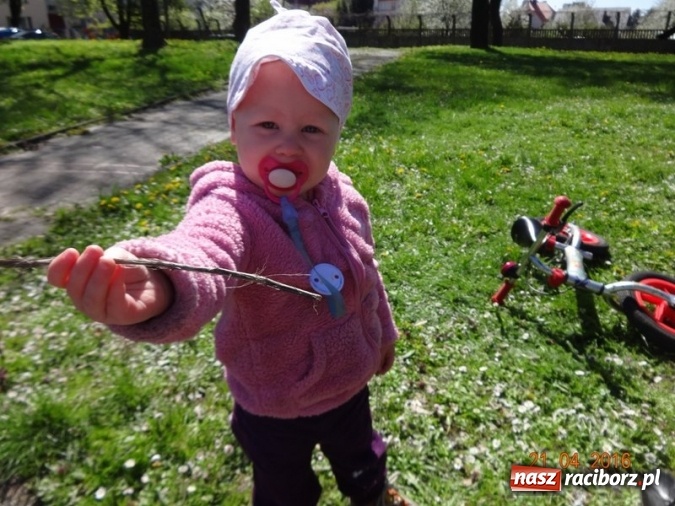 Zdjęcie w galerii na portalu naszraciborz.pl: Raciborskie Fikusie już po inauguracji sezonu wiadomości z regionu