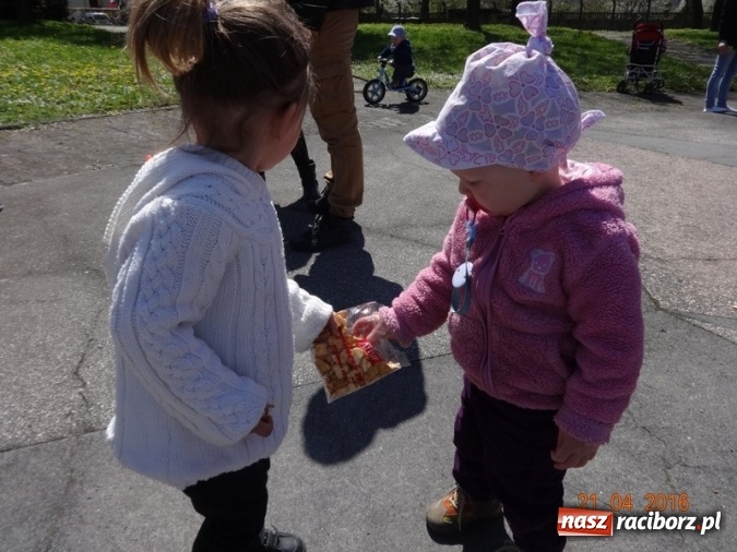 Zdjęcie w galerii na portalu naszraciborz.pl: Raciborskie Fikusie już po inauguracji sezonu wiadomości z regionu