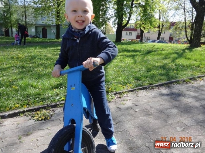 Zdjęcie w galerii na portalu naszraciborz.pl: Raciborskie Fikusie już po inauguracji sezonu wiadomości z regionu