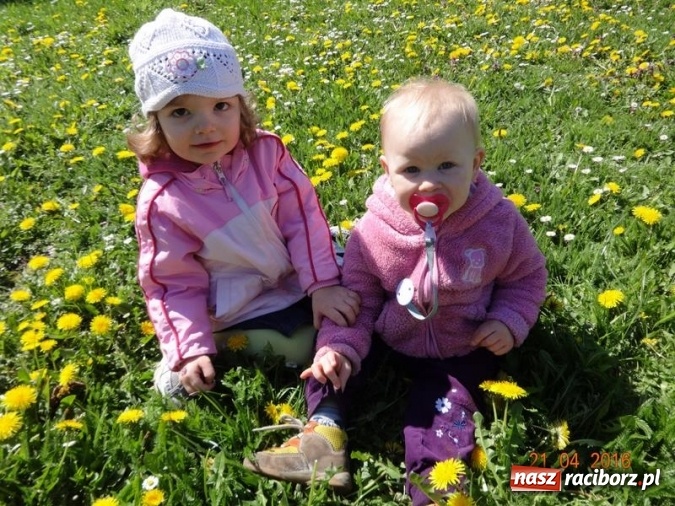 Zdjęcie w galerii na portalu naszraciborz.pl: Raciborskie Fikusie już po inauguracji sezonu wiadomości z regionu