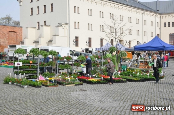 Zdjęcie w galerii na portalu naszraciborz.pl: IV Zamkowy Jarmark kwiatów, żywności ekologicznej i rękodzieła wiadomości z regionu