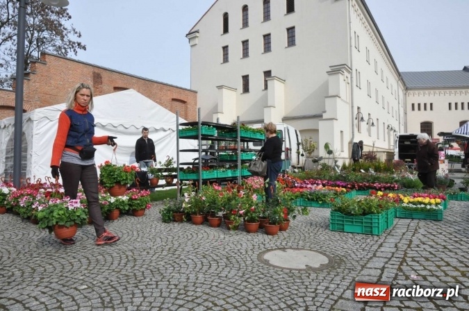 Zdjęcie w galerii na portalu naszraciborz.pl: IV Zamkowy Jarmark kwiatów, żywności ekologicznej i rękodzieła wiadomości z regionu