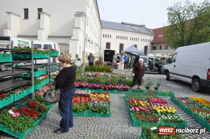Zdjęcie w galerii na portalu naszraciborz.pl: IV Zamkowy Jarmark kwiatów, żywności ekologicznej i rękodzieła wiadomości z regionu