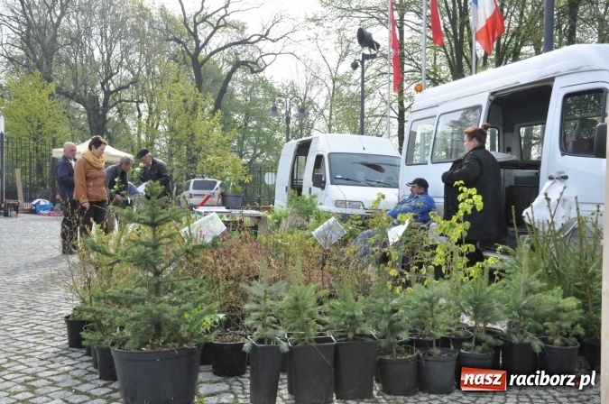 Zdjęcie w galerii na portalu naszraciborz.pl: IV Zamkowy Jarmark kwiatów, żywności ekologicznej i rękodzieła wiadomości z regionu