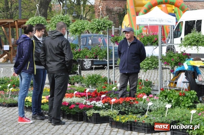 Zdjęcie w galerii na portalu naszraciborz.pl: IV Zamkowy Jarmark kwiatów, żywności ekologicznej i rękodzieła wiadomości z regionu