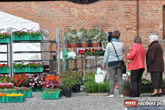 Zdjęcie w galerii na portalu naszraciborz.pl: IV Zamkowy Jarmark kwiatów, żywności ekologicznej i rękodzieła wiadomości z regionu