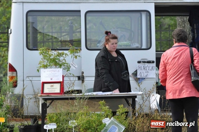 Zdjęcie w galerii na portalu naszraciborz.pl: IV Zamkowy Jarmark kwiatów, żywności ekologicznej i rękodzieła wiadomości z regionu
