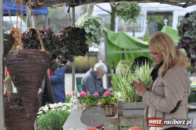 Zdjęcie w galerii na portalu naszraciborz.pl: IV Zamkowy Jarmark kwiatów, żywności ekologicznej i rękodzieła wiadomości z regionu