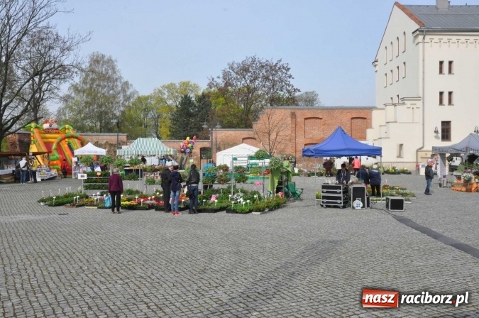 Zdjęcie w galerii na portalu naszraciborz.pl: IV Zamkowy Jarmark kwiatów, żywności ekologicznej i rękodzieła wiadomości z regionu