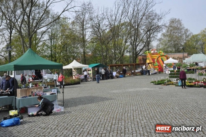 Zdjęcie w galerii na portalu naszraciborz.pl: IV Zamkowy Jarmark kwiatów, żywności ekologicznej i rękodzieła wiadomości z regionu