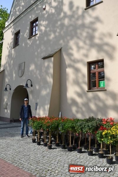 Zdjęcie w galerii na portalu naszraciborz.pl: IV Zamkowy Jarmark kwiatów, żywności ekologicznej i rękodzieła za nami wiadomości z regionu