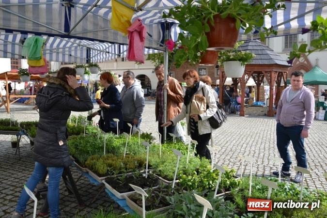 Zdjęcie w galerii na portalu naszraciborz.pl: IV Zamkowy Jarmark kwiatów, żywności ekologicznej i rękodzieła za nami wiadomości z regionu