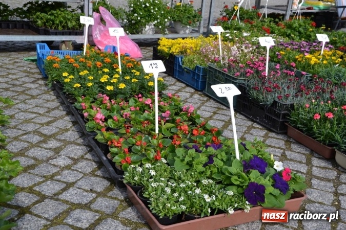 Zdjęcie w galerii na portalu naszraciborz.pl: IV Zamkowy Jarmark kwiatów, żywności ekologicznej i rękodzieła za nami wiadomości z regionu