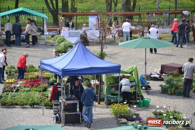 Zdjęcie w galerii na portalu naszraciborz.pl: IV Zamkowy Jarmark kwiatów, żywności ekologicznej i rękodzieła za nami wiadomości z regionu