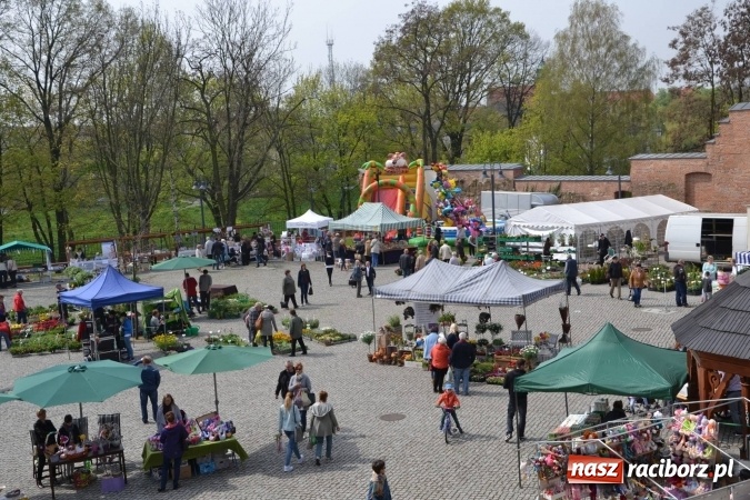 Zdjęcie w galerii na portalu naszraciborz.pl: IV Zamkowy Jarmark kwiatów, żywności ekologicznej i rękodzieła za nami wiadomości z regionu