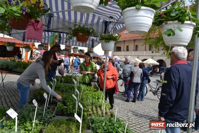 Zdjęcie w galerii na portalu naszraciborz.pl: IV Zamkowy Jarmark kwiatów, żywności ekologicznej i rękodzieła za nami wiadomości z regionu