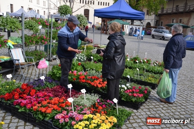 Zdjęcie w galerii na portalu naszraciborz.pl: IV Zamkowy Jarmark kwiatów, żywności ekologicznej i rękodzieła za nami wiadomości z regionu
