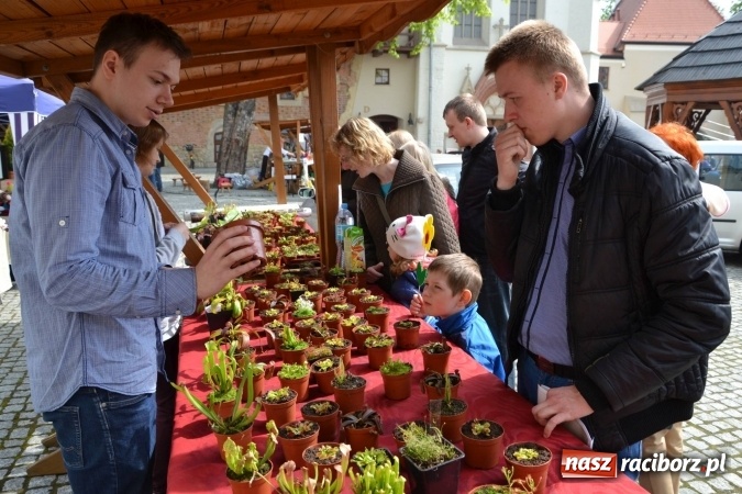 Zdjęcie w galerii na portalu naszraciborz.pl: IV Zamkowy Jarmark kwiatów, żywności ekologicznej i rękodzieła za nami wiadomości z regionu